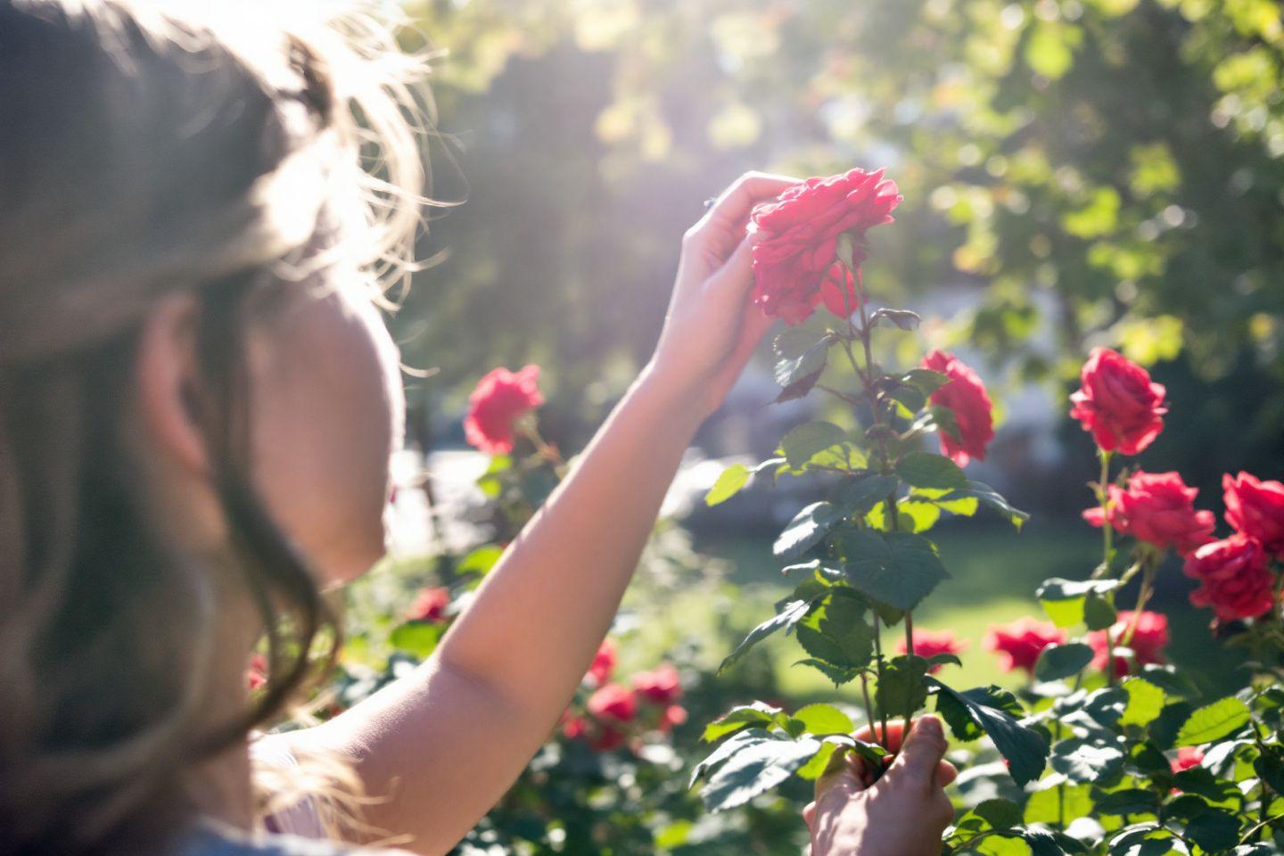 Les signes de l'amour naissant : comprendre les ressorts émotionnels d'un nouvel élan sentimental